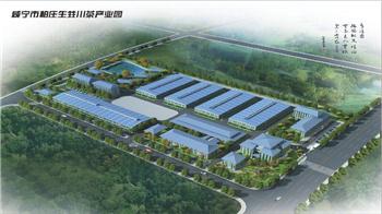 咸宁市柏庄茶业有限公司宣传片